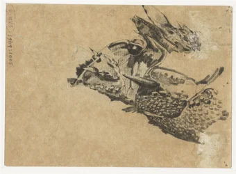 Cabeza de iguana