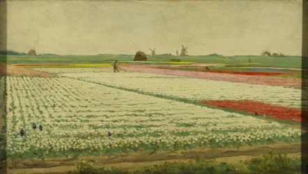 Campos de tulipanes