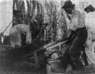 Tres obreros. Fotografía que muestra a tres trabajadores afroamericanos en el trabajo. (ca. 1900)