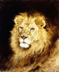 La cabeza de un león