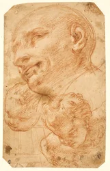 Cabezas de San Carlos Borromeo y dos querubines