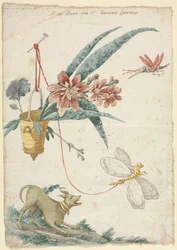 Diseño floral con perro e insectos
