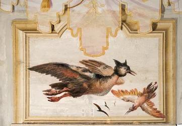 Un par de aves exóticas, de la Sala China en la Foresteria, 1757