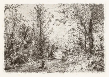 Bosque en Lago Maggiore