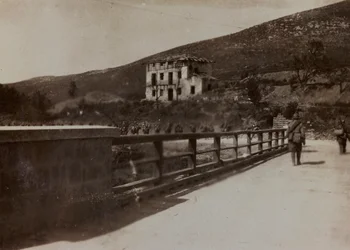 Álbum 