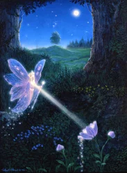 Flor de hada