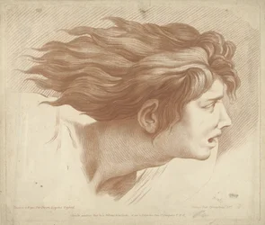 Cabeza de hombre con cabello suelto
