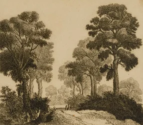 Paisaje