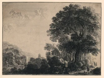 El hombre y su perro en un paisaje