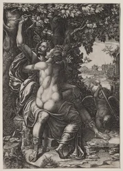 Angélica y Medoro