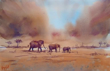 Viaje de un elefante africano