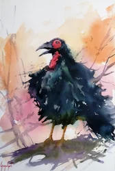 Pájaro negro que llama
