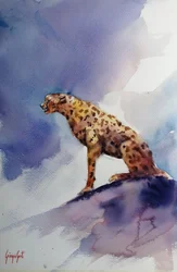 Guepardo sobre una roca