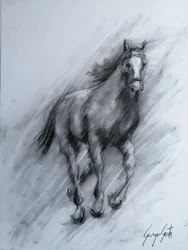 Caballo de carbón dinámico