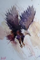 Vuelo dinámico del águila