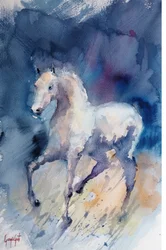 Elegante caballo blanco