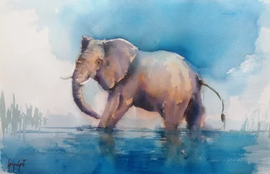 Un majestuoso elefante vadeando