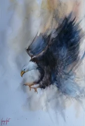 El poderoso vuelo del águila
