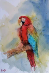 Guacamayo rojo intenso