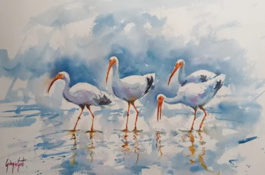 Reflejos del ibis blanco