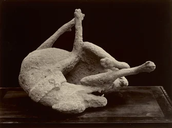 Perro, Pompeya, c.1870