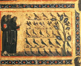 Historias de San Francisco: San Francisco predicando a los pájaros