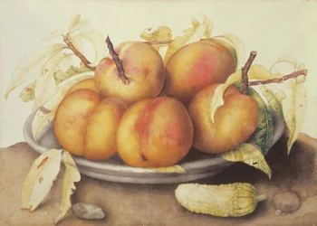 Plato de duraznos con un pepinillo