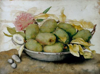 Plato de nísperos, almendras y una rosa