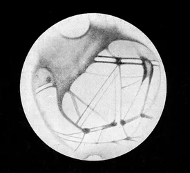 Los canales dobles de Marte (canales marcianos o canales canali), después de Giovanni Virginio Schiaparelli (1835-1910), astrónomo italiano (1890) - en "El Cielo" por Alphonse Berget, Larousse