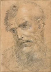 Cabeza de hombre barbudo (anverso); Estudio para una sacra conversazione (reverso)