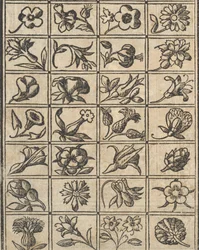 Essempio di recammi, página 10 verso, 1530