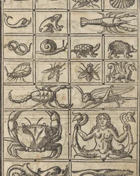 Essempio di recammi, página 11 recto