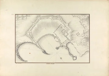 Planta de Rodas