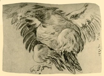Águila, 1751-1752, 1928