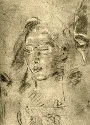 Cabeza de una joven, mediados del siglo XVIII, 1928