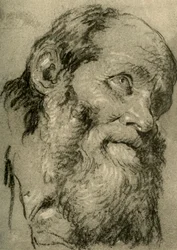 Cabeza de un anciano, c1755, 1928