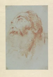 Cabeza de un anciano