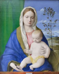 Virgen con el Niño, c.1500 (óleo sobre tabla)