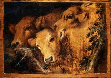 Tres cabezas de ternero de estudio. Pintura de Giovanni Benedetto Castiglione, llamado il Grechetto (1610-1665). Génova, Musei di Strada Nuova