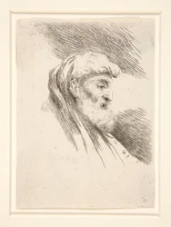 Viejo de barba larga, de perfil, girado a la derecha, de la serie Les petites tetes d