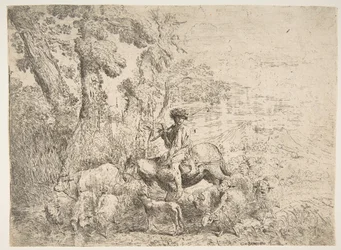 Joven pastor a caballo