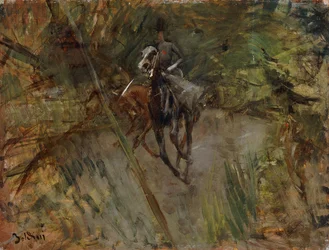 Amazona, 1883