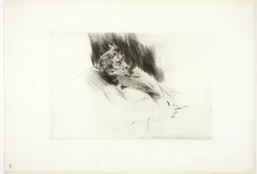 Whistler dormido