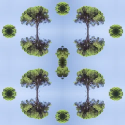 Unnatural 118