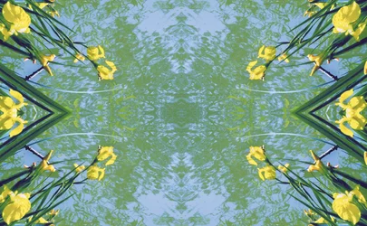 Antinatural 17