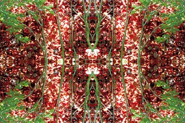 Antinatural 23