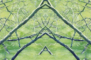 Antinatural 30