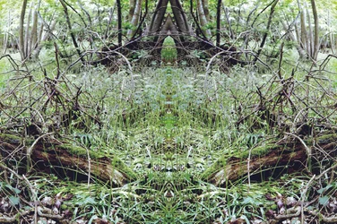 Antinatural 33