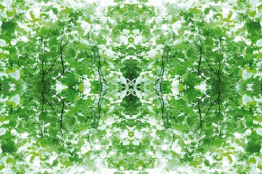 Antinatural 34