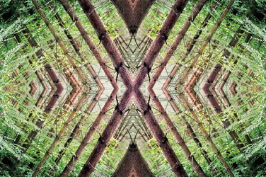 Antinatural 37